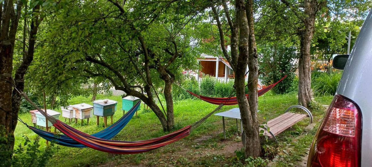 Bees Guesthouse Mestia Exterior foto