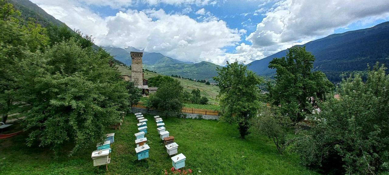 Bees Guesthouse Mestia Exterior foto